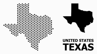 Texas State Pikselli Mozaik Haritası