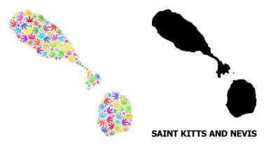 Saint Kitts 'in Vektör Kolaj Haritası ve Parlak Kenevir Yaprakları Nevis ve Katı Harita