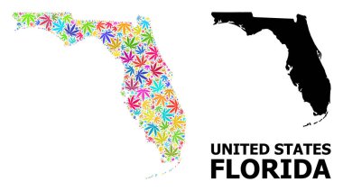 Florida Psikedelik Ot Yaprakları ve Kolaj Haritası