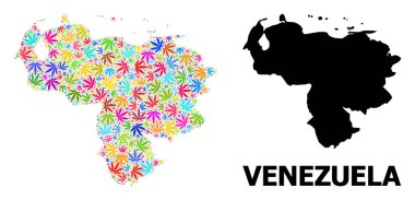 Venezuela Psikedelik Kenevir Yaprakları ve Kolaj Haritası