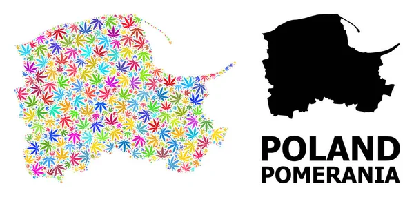 Vector Mosaic Map of Pomerania Province of Colorful Marijuana Leaves and Solid Map — 스톡 벡터