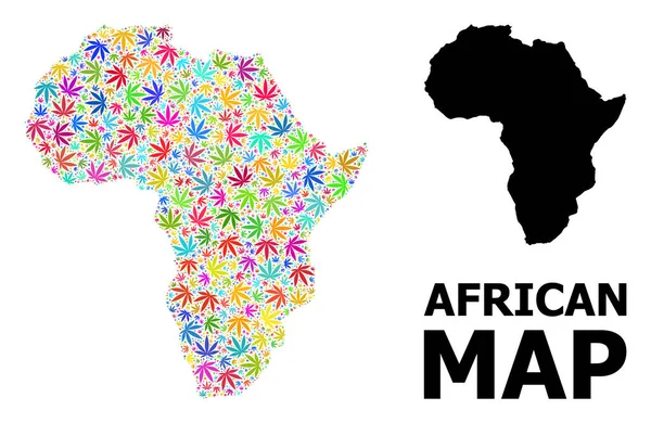 Afrika Psikedelik kenevir yaprakları ve Kolaçan Haritası