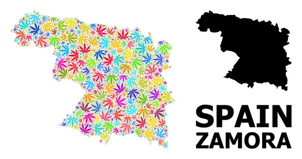 Vector Collage Map of Zamora Province of Psychedelic Hemp Leaves and Solid Map — 스톡 벡터