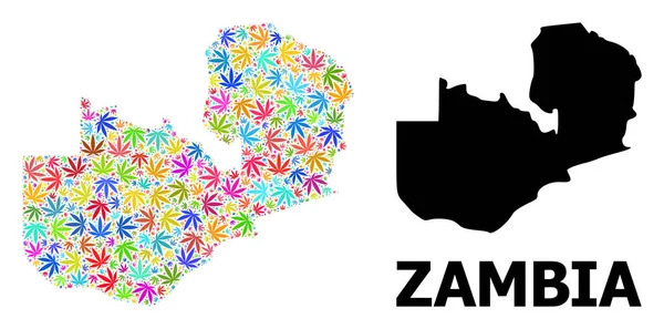 Mapa de Colagem de Vetores da Zâmbia de Folhas de Cannabis Coloridas e Mapa Sólido — Vetor de Stock