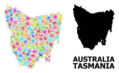 Tazmanya Adasının Vektör Kolajı Psikedelik Hemp Yaprakları ve Katı Haritası