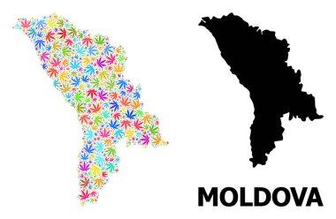 Moldova Renkli Marihuana Yaprakları ve Solid Haritası Vektör Kolajı