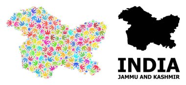 Jammu ve Kaşmir 'in Renkli Marihuana Yaprakları ve Katı Harita Vektörü Mozaik Haritası
