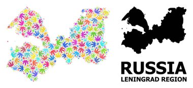 Renkli Ot Yaprakları Leningrad Bölgesi Vektör Kolajı Haritası ve Katı Harita