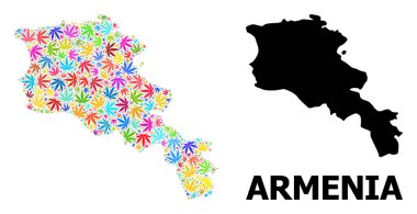 Renkli Marihuana Yaprakları Ermenistan Vektör Kolajı Haritası ve Katı Harita