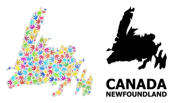 Vector Mosaic Map of Newfoundland Island of Colorful Marijuana Leaves and Solid Map — стоковий вектор