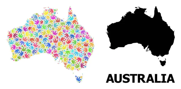 Avustralya 'nın Parlak Marihuana Yaprakları ve Solid Haritası Vektör Kolajı — Stok Vektör