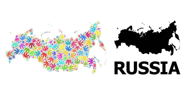 Mappa del collage vettoriale della Russia di foglie di canapa luminose e mappa solida — Vettoriale Stock
