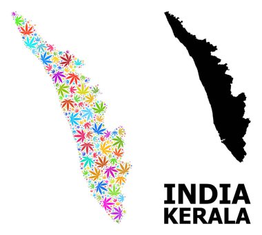 Kerala Renkli Marihuana Eyaleti Vektör Kolajı Yaprakları ve Katı Haritası
