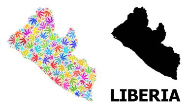 Liberya 'nın Renkli Marihuana Yaprakları ve Kolaçan Haritası
