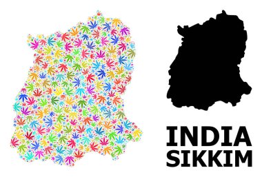 Sikkim Eyaleti Renkli Kenevir Yaprakları ve Katı Haritası Vektör Mozaik Haritası