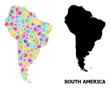 Güney Amerika 'nın Renkli Ot Yaprakları ve Kolaj Haritası