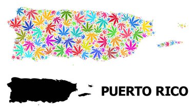 Renkli Marihuana Yaprakları Porto Riko 'nun Vektör Kolajı Haritası