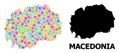 Makedonya 'nın Psikedelik Ot Yaprakları ve Kolaçan Haritası