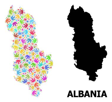 Arnavutluk 'un Renkli Kenevir Yaprakları ve Somut Haritası Vektör Kolajı