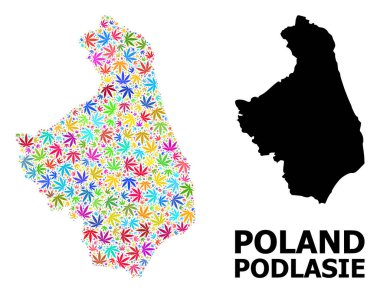 Podlasie 'nin Renkli Kenevir Yaprakları ve Katı Haritası Vektör Mozaik Haritası