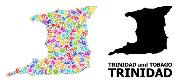 Mapa wektorowego kolażu wyspy Trynidad Kolorowe liście marihuany i solidna mapa — Wektor stockowy