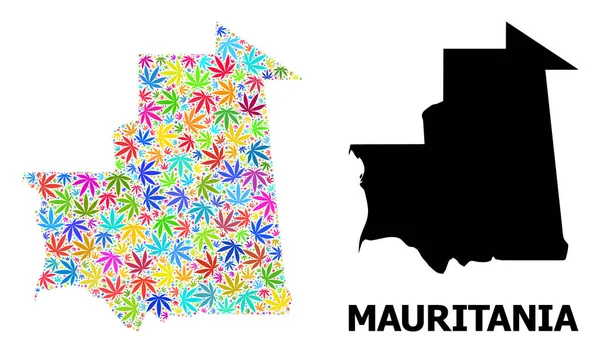 Vector Collage Mapa de Mauritania de hojas de cáñamo de colores y mapa sólido — Vector de stock