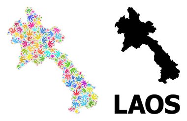 Psikedelik kenevir yaprakları ve Kolaçan Haritası