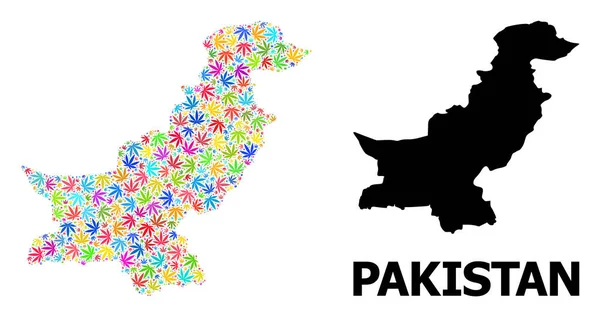Mapa de Colagem de Vetores do Paquistão de Folhas de Maconha Colorida e Mapa Sólido — Vetor de Stock