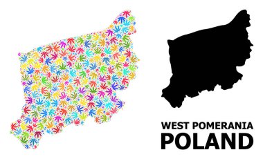 Batı Pomerania 'nın Renkli Kenevir Yaprakları ve Kolaj Haritası