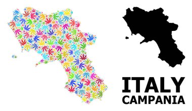 Parlak Hemp Yaprakları ve Sağlam Harita Campania Bölgesi Vektör Kolajı Haritası