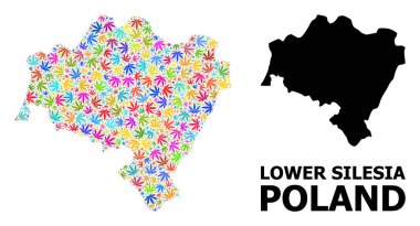 Aşağı Silezya Eyaleti Psikedelik Kenevir Yaprakları ve Kolaçan Haritası