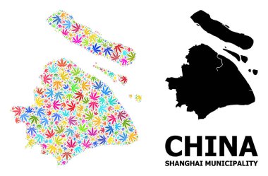 Renkli Kenevir Yaprakları ve Sağlam Harita Şangay Belediyesi Vektör Kolajı Haritası