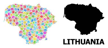 Litvanya 'nın Psikedelik Marihuana Yaprakları ve Katı Haritası Vektör Mozaik Haritası