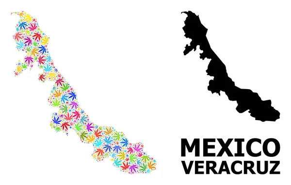 Vector Collage Mapa de Veracruz Estado de las Hojas de Cannabis Brillantes y Mapa Sólido — Vector de stock