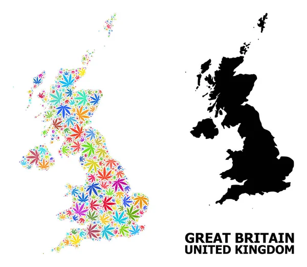 Vector Collage Mapa del Reino Unido de Hojas de Cannabis Coloridas y Mapa Sólido — Vector de stock