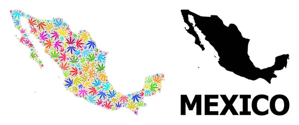 Vector Mosaic Mapa do México de folhas de ervas daninhas coloridas e mapa sólido — Vetor de Stock