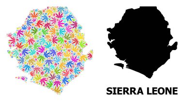 Renkli Kenevir Yaprakları ve Kolaçan Haritası Sierra Leone