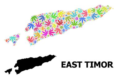 Parlak Ot Yaprakları Doğu Timor Vektör Kolajı Haritası ve Katı Harita