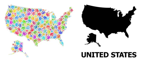 Mapa kolażu wektorowego USA i Alaski z kolorowymi liśćmi konopi i stałą mapą — Wektor stockowy