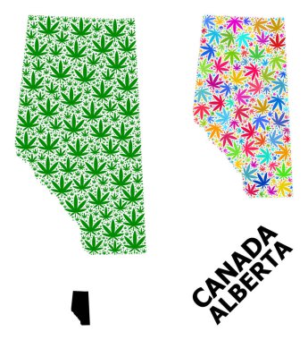 Alberta Eyaleti Vektör Mozaik Haritası Renkli ve Yeşil Kenevir Yaprakları ve Katı Harita