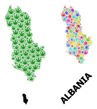 Arnavutluk 'un Parlak ve Yeşil Marihuana Yaprakları ve Katı Haritası Vektör Mozaik Haritası