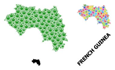 Parlak ve Yeşil Kenevir Yaprakları ve Kolaçan Haritası