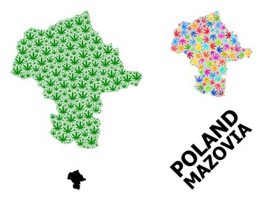 Mazovia 'nın Yeşil ve Renkli Kenevir Yaprakları ve Katı Haritası Vektör Mozaik Haritası