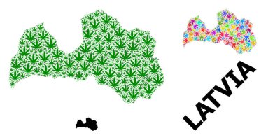 Letonya 'nın Parlak ve Yeşil Kenevir Yaprakları ve Kolaçan Haritası