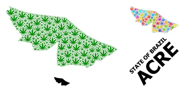 Mapa Vector Collage de Acre Estado de Hojas de Cannabis Brillantes y Verdes y Mapa Sólido — Vector de stock