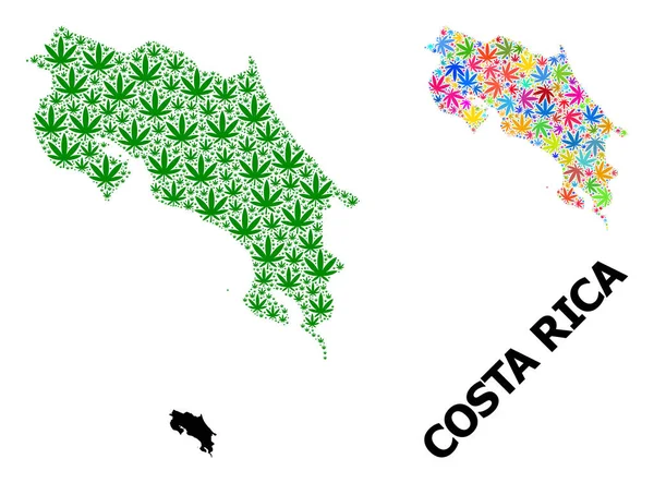 Vector Collage Map of Costa Rica of Psychedelic and Green Weed Leaves and Solid Map — 스톡 벡터