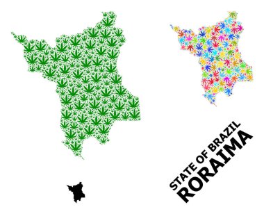 Roraima Renkli ve Yeşil kenevir Yaprakları ve Kolaj Haritası