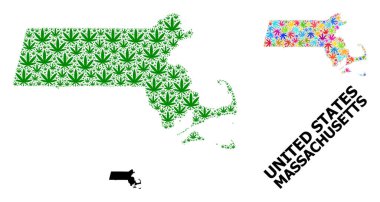 Massachusetts Renkli ve Yeşil Ot Yaprakları ve Kolaj Haritası