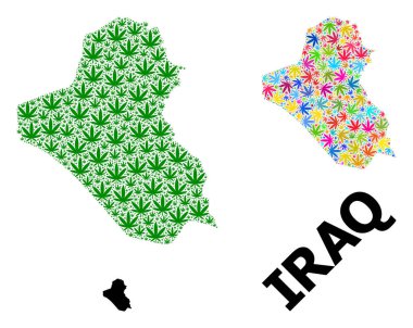 Irak 'ın Parlak ve Yeşil Ot Yaprakları ve Kolaj Haritası