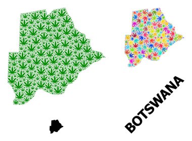 Renkli ve Yeşil kenevir yaprakları ve katı Harita Botswana Vektör Kolajı